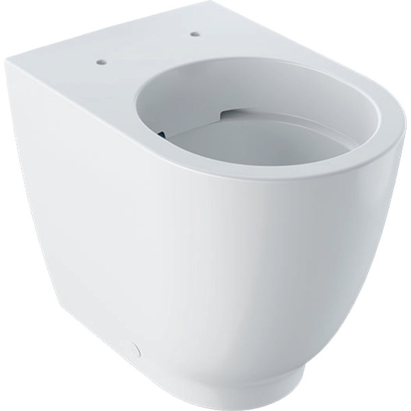 Geberit Acanto washdown toilet, 500602, rimless, 4.5/6L, floor standing